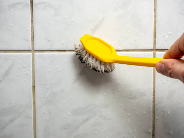 St George, UT Mold Remediation Company