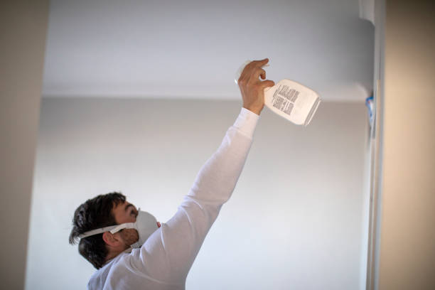 Best Residential Mold Remediation in St George, UT